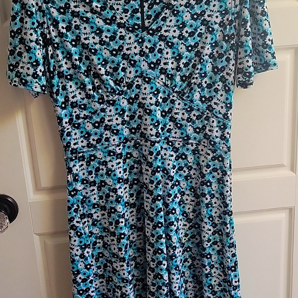 Womans dress